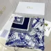 Dior Scarf #B41793