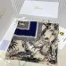 Dior Scarf #B41794