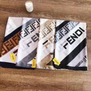 Fendi Scarf #99911489