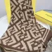 Fendi Scarf #99913360