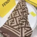 Fendi Scarf #99913360