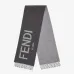 Fendi Scarf #99914064