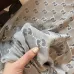Gucci Scarf #99924914