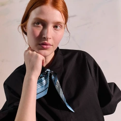 HERMES Scarf #B64733