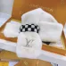 Louis Vuitton Scarf #99914040