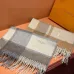 Louis Vuitton Scarf #B41776