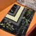 Louis Vuitton Scarf #B41778