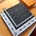 Louis Vuitton Scarf #B41849