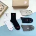 Burberry socks (5 pairs) #B41893