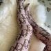 Fashion Custom Printed Women Letters Letter Printed Sexy Women Tights Free size Stocking Pantyhose #999929991
