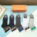 Louis Vuitton socks (5 pairs) #B41905