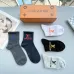 Louis Vuitton socks (5 pairs) #B41916