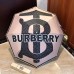 Burberry Umbrella #99906685