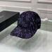 Dior Hats #B34250
