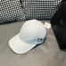 Dior Hats #B34252