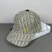 Dior Hats #B52287