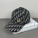 Dior Hats #B52287