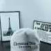 Dior Hats #B64714
