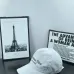 Dior Hats #B64714