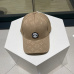 Louis Vuitton AAA+ hats & caps #9999926009