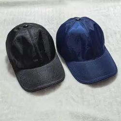 Brand L AAA+ hats & caps #B66938