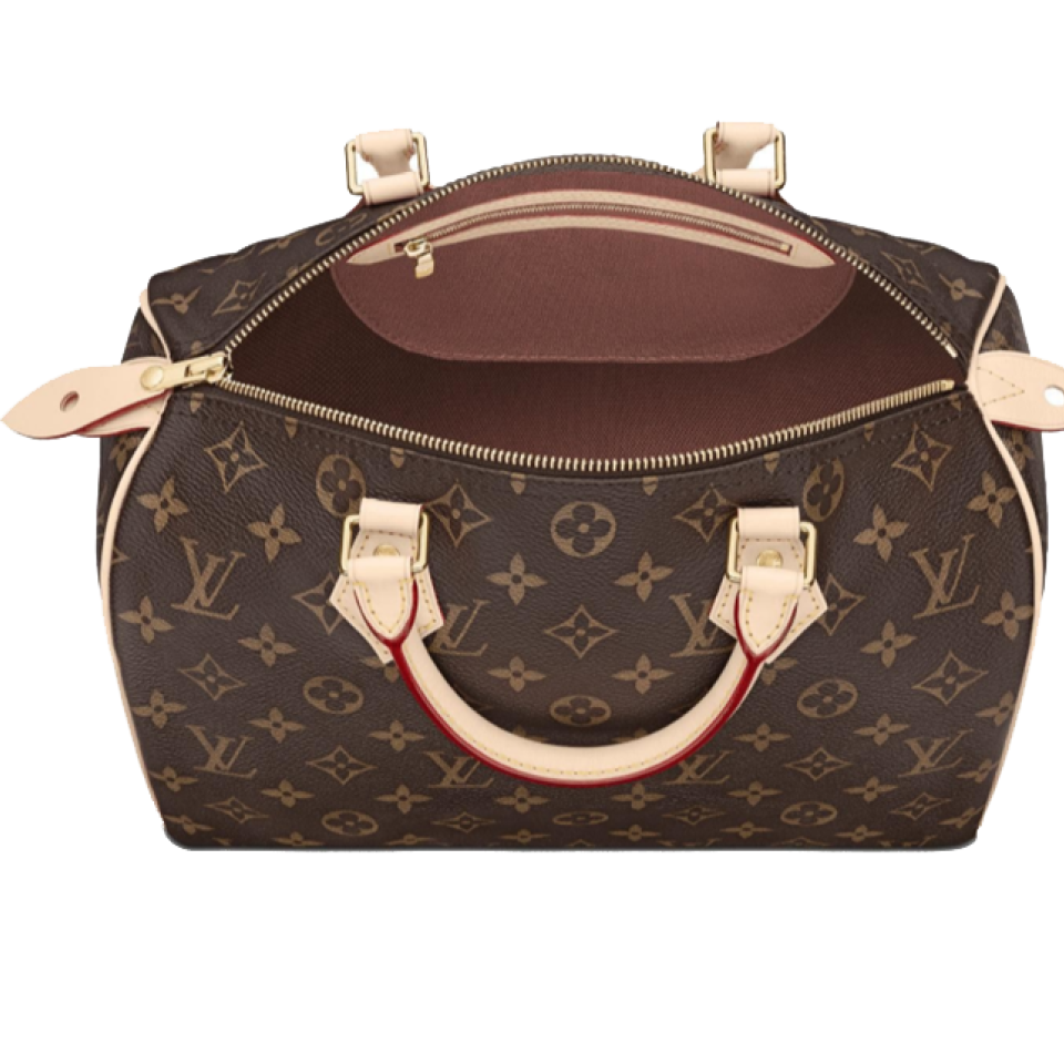 Buy Cheap Louis Vuitton 2019 speedy printed canvas Handbag for women #9121479 from www.waterandnature.org