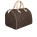 Louis Vuitton 2019 speedy printed canvas Handbag for women #9121479