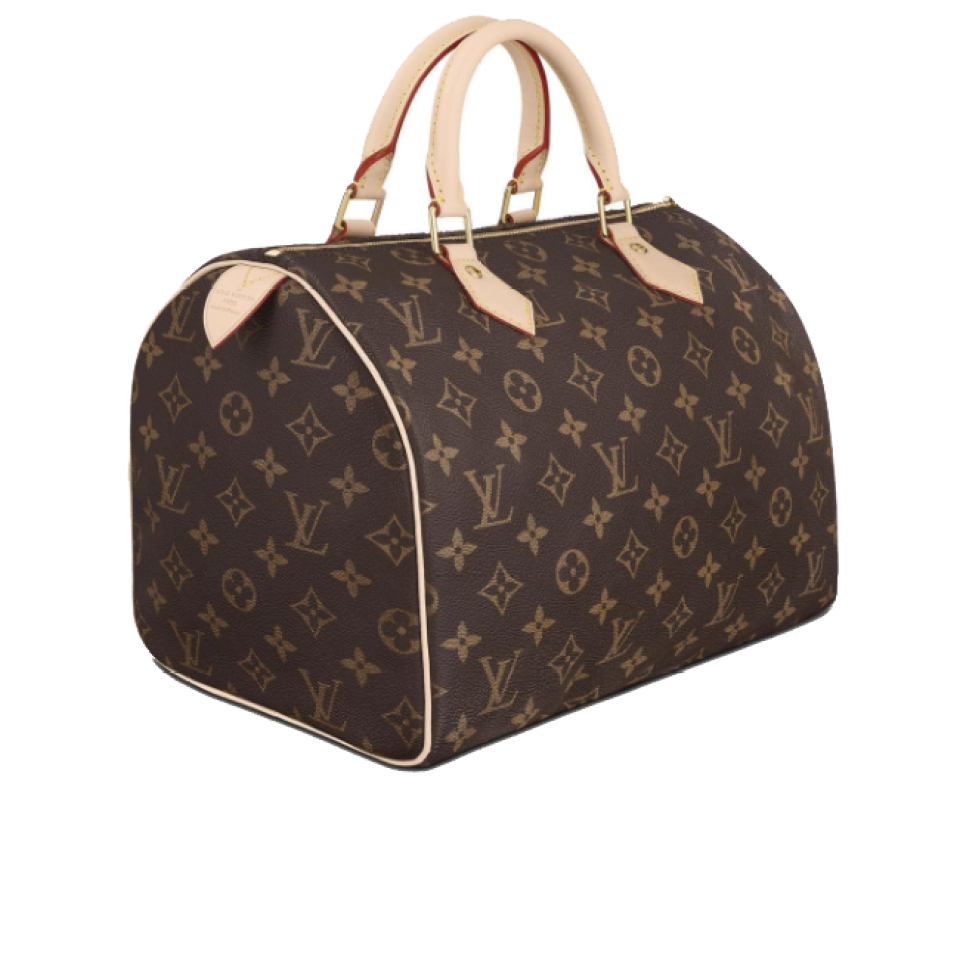 Buy Cheap Louis Vuitton 2019 speedy printed canvas Handbag for women #9121479 from 0