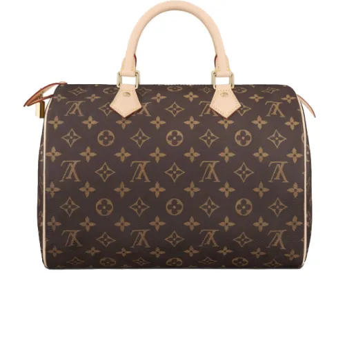 Louis Vuitton 2019 speedy printed canvas Handbag for women #9121479