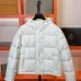 Fendi Coats/Down Jackets for women #B41592