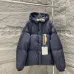 Louis Vuitton Coats/Down Jackets #B56950
