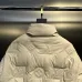 Louis Vuitton Coats/Down Jackets #B57948