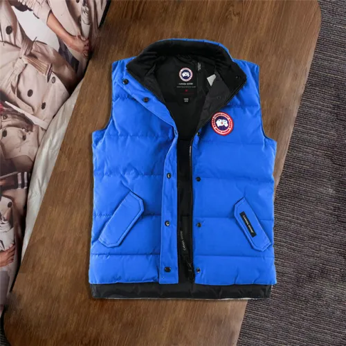 Canada Goose #99912657