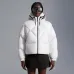 Moncler Down Jackets for women #99925703