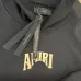 AMIRI Black Hoodie With Large Back Gold Logo And Ornate Design Elements #B54238