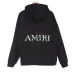 AMIRI Hoodies for Men #99923448