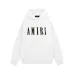 AMIRI Hoodies for Men #999936454