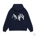 AMIRI Hoodies for Men #B42139