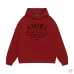 AMIRI Hoodies for Men #B42141