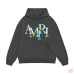 AMIRI Hoodies for Men #B42146