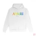 AMIRI Hoodies for Men #B42147