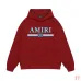 AMIRI Hoodies for Men #B42151