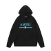 AMIRI Hoodies for Men #B42204