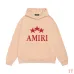 AMIRI Hoodies for Men #B45079