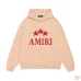 AMIRI Hoodies for Men #B45079