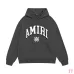 AMIRI Hoodies for Men #B45082