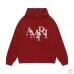 AMIRI Hoodies for Men #B45084