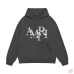 AMIRI Hoodies for Men #B45084