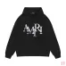 AMIRI Hoodies for Men #B45084