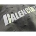 Balenciaga Hoodies for Men and Women #99925621